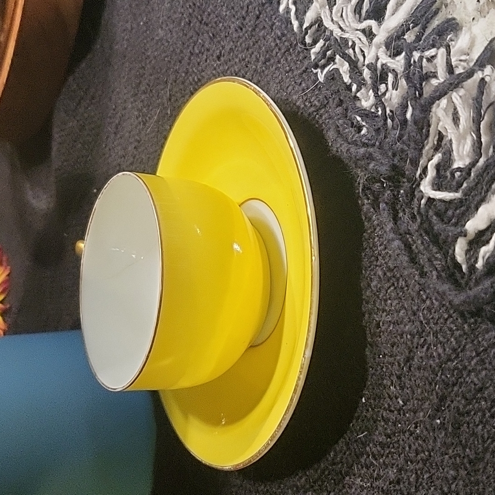 Rosenthal Barvarian Cup & Saucer for Espresso or tea YELLOW